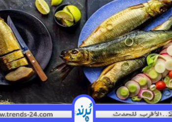 مشروبات احرص على تناولها بعد أكل الفسيخ والرنجة