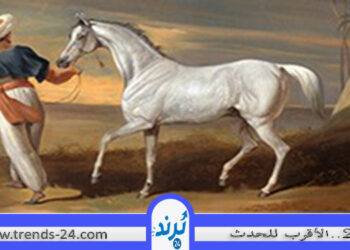 من عادات  العرب في الجاهلية