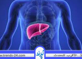 9 نصائح للحفاظ على صحة الكبد