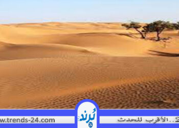 قرر أن يلقي بأمه في الصحراء